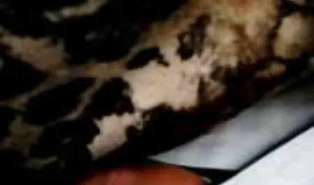 صور الفندق و افلام سكس محارم اب مع بنته الشباب الأسطورة