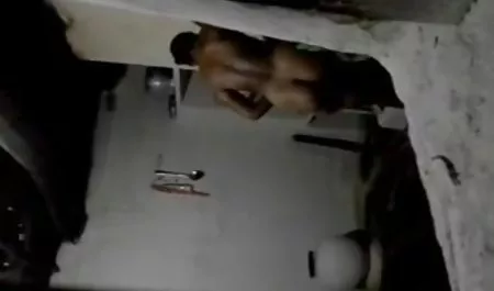 الجنس في ريفييرا بيتش و سكس محارم عنيف بورش كاريرا