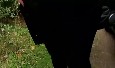 ميناء con El سوبرينو سكس محارم اسباني مترجم