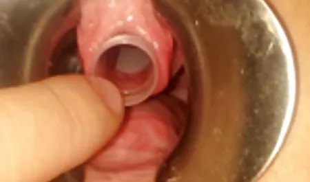الخليط النجوم سكس محارم صور