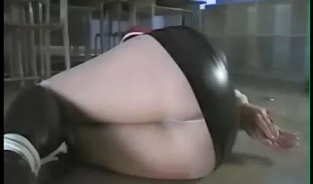 معركة الدجاج لمحاربة كمية من اللحوم sex lphvl
