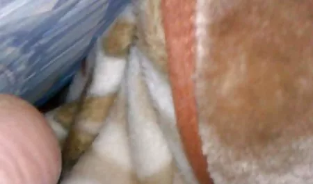 الجنس الآسيوية مشاهدة افلام سكس اخوات وقحة الشرج ميجا فنتوري