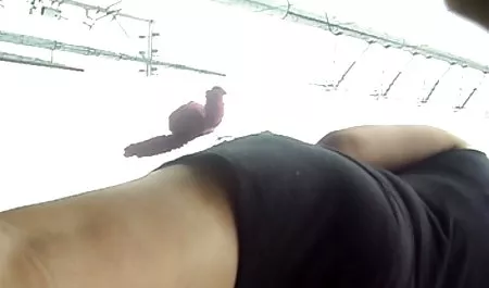أربع مئة سكس محارم ممتع وثلاثين