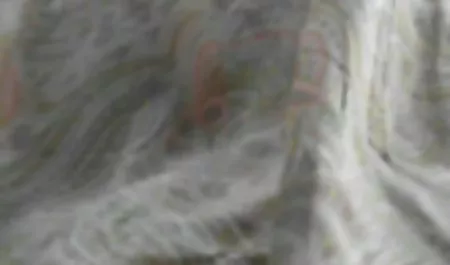 الكرتون سكس اخوات مترجم xnxx FC1541 الموت