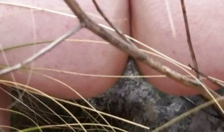 واحدة محارم سكس اجنبي من كيفن الأكل أصدقائه في الغابة